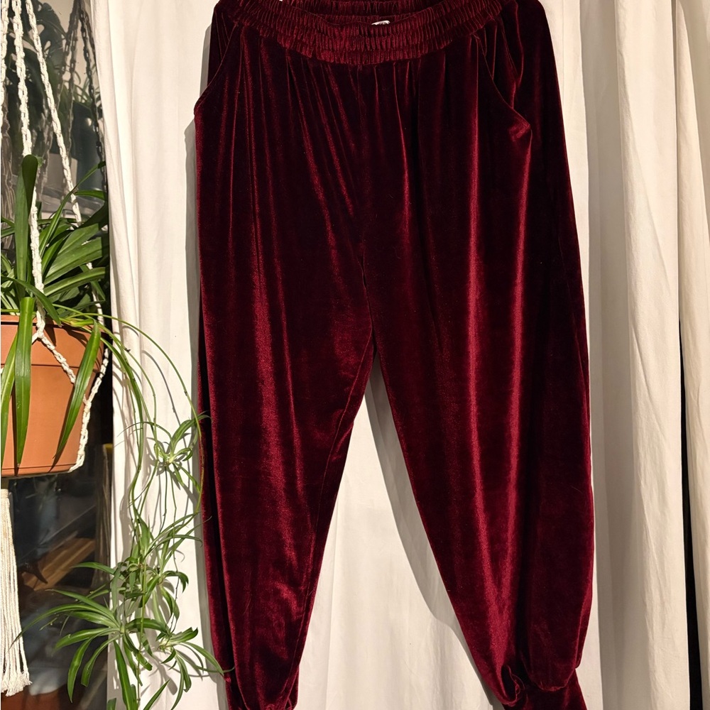Elegant Velvet Maroon Joggers